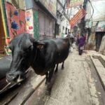 レス66番の画像2