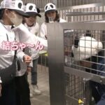 レス28番の画像4