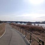 レス12番の画像1