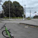 レス5番の画像3