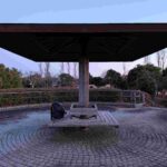 レス5番の画像12