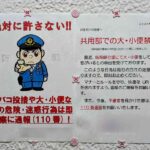 レス1番のリンク先のサムネイル画像