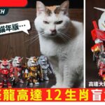 レス19番の画像1