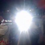 レス33番の画像1