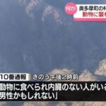 レス1番のリンク先のサムネイル画像