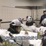 レス28番の画像3