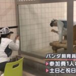 レス28番の画像2