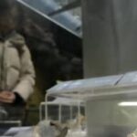 レス2番のリンク先のサムネイル画像