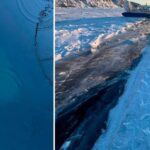 レス4番の画像1