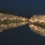 レス1番のリンク先のサムネイル画像