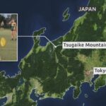 レス3番の画像3