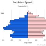 レス6番の画像1