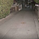 レス1番のリンク先のサムネイル画像