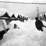 レス20番の画像1