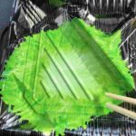 レス2番の画像2