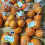 レス11番の画像2