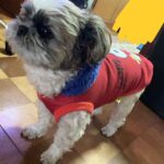 レス47番の画像1