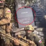 レス7番の画像1