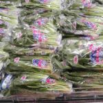 レス9番の画像1