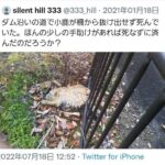 レス50番の画像2