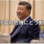 レス1番のリンク先のサムネイル画像