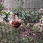 レス2番の画像1