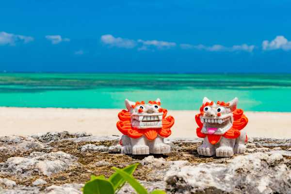 記事サムネイル