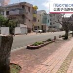 レス1番のリンク先のサムネイル画像