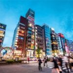 レス49番のリンク先のサムネイル画像