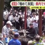 レス1番のリンク先のサムネイル画像