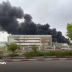 レス1番のリンク先のサムネイル画像