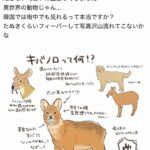 レス2番の画像6