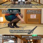 レス46番の画像1