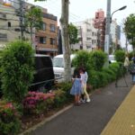 レス17番の画像1