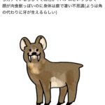 レス2番の画像5