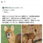 レス2番の画像2