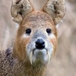 レス1番の画像4