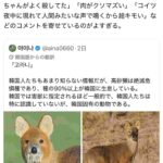 レス2番の画像3