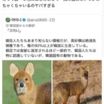 レス2番の画像1