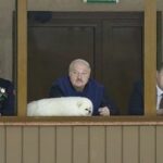 レス3番の画像1