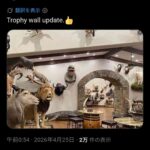 レス11番の画像1