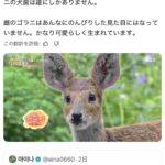 レス39番の画像1