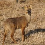 レス1番の画像3