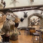 レス4番の画像2