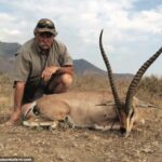 レス4番の画像1