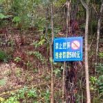 レス9番の画像1