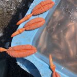 レス1番の画像2