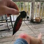 レス1番の画像1