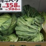 レス1番のリンク先のサムネイル画像