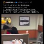 レス4番の画像4